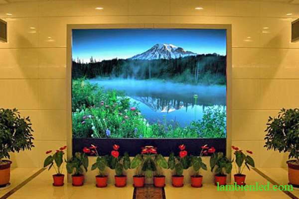 màn hình led trường học
