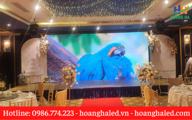 man-hinh-led-p2.5-4
